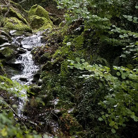 Landhaus Bad Bertrich 巴特贝特里希