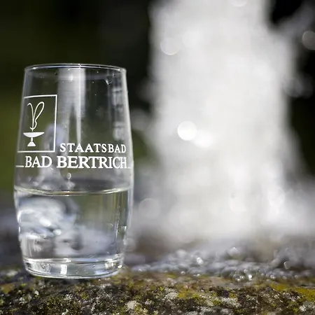 Landhaus Bad Bertrich Bad Bertrich