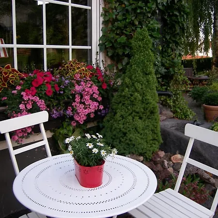 Landhaus Bad Bertrich 招待所 巴特贝特里希