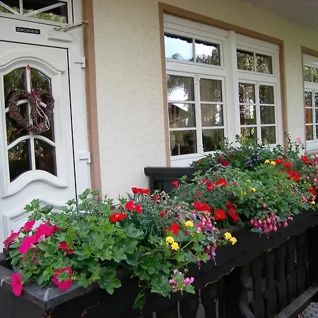 招待所 Landhaus Bad Bertrich