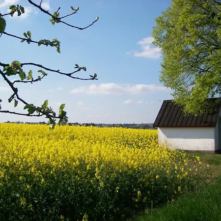 Landhaus Bad Bertrich Guest house *