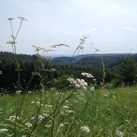 招待所 Landhaus Bad Bertrich