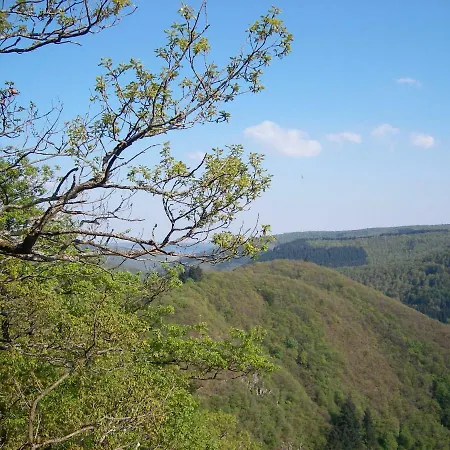 招待所 Landhaus Bad Bertrich