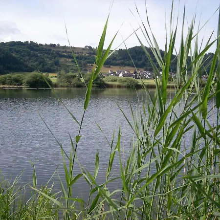 招待所 Landhaus Bad Bertrich 巴特贝特里希