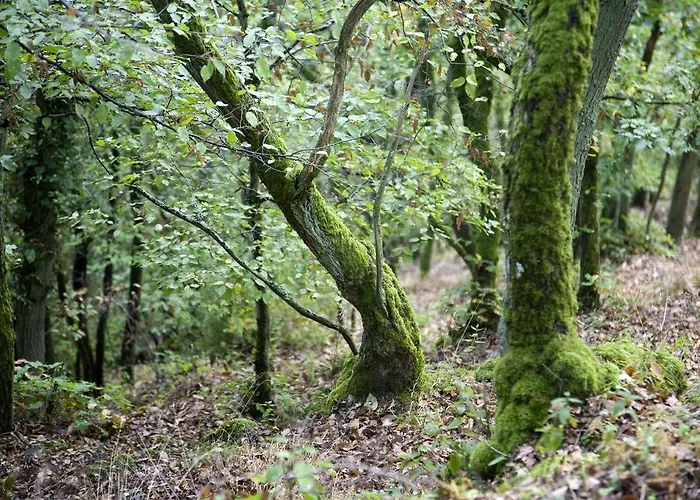 Πανσιόν Landhaus Bad Bertrich