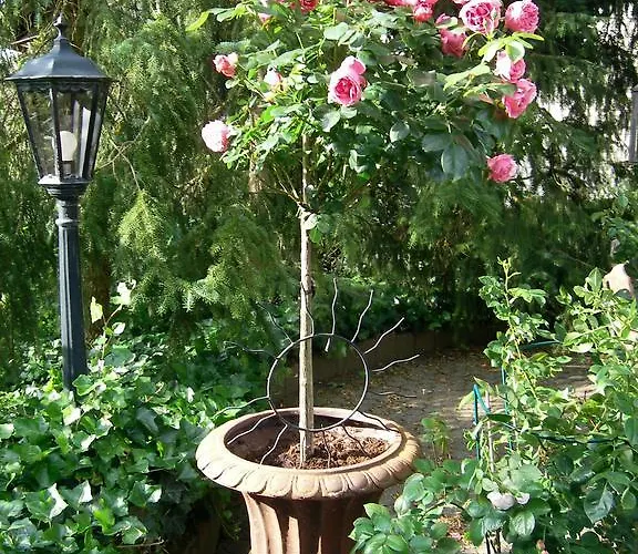 Landhaus Bad Bertrich Bad Bertrich