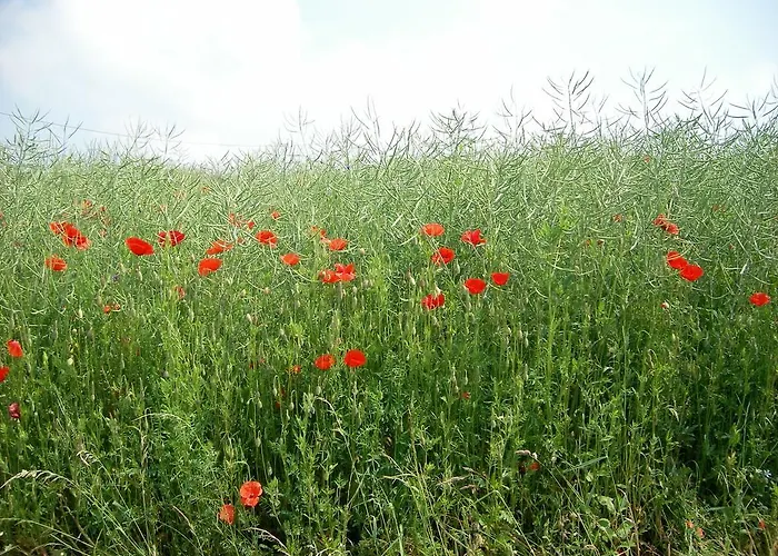 Πανσιόν Landhaus Bad Bertrich Bad Bertrich