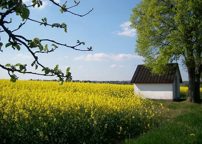 Landhaus Bad Bertrich Πανσιόν 4*