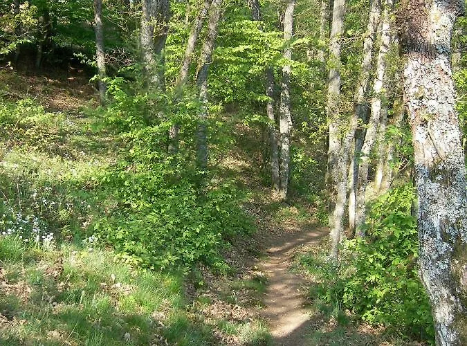 Landhaus Bad Bertrich